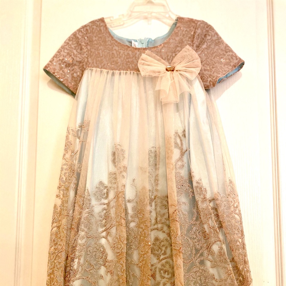 Girls special occasion dress